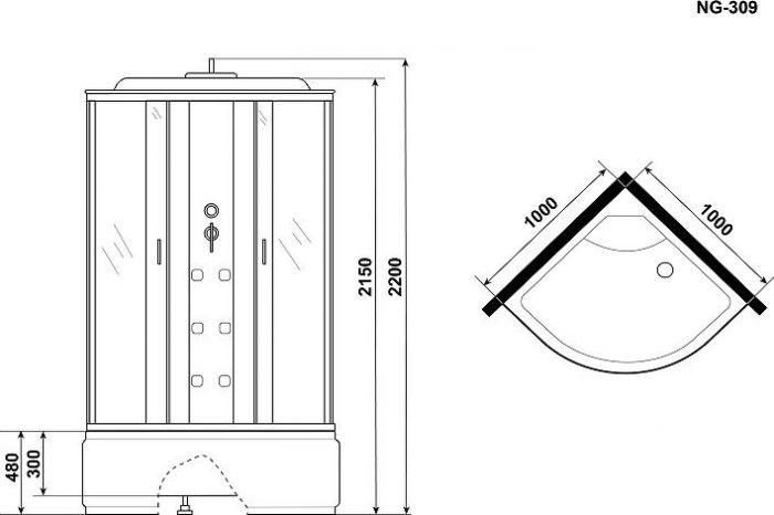 Душевая кабина Niagara Ultra 100x100 NG-309-01 3090164, профиль хром, стекло прозрачное